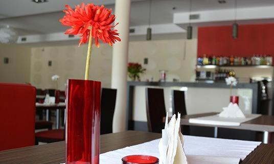 Hotel Cynamon Tokarnia  Kültér fotó